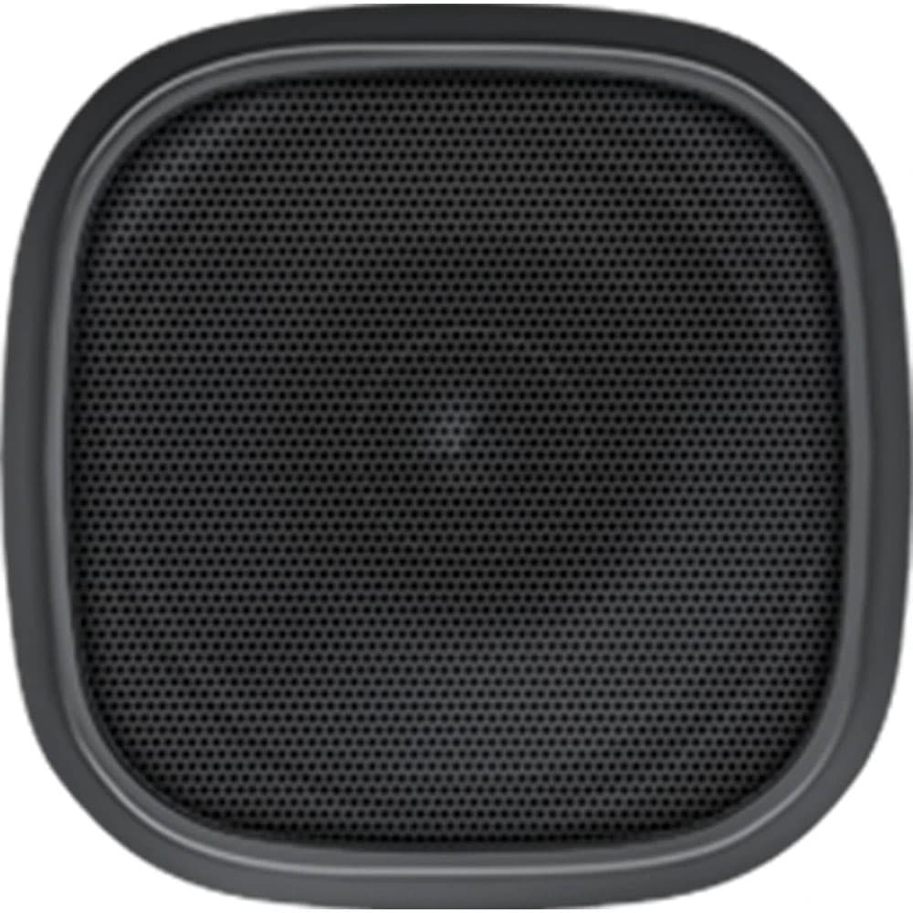 Speaker